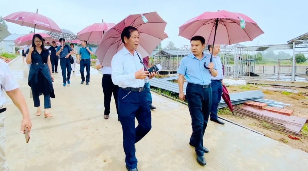 相关领导一行参观湖北摩登3生态休闲农业园 相关领导一行参观湖北摩登3生态休闲农业园